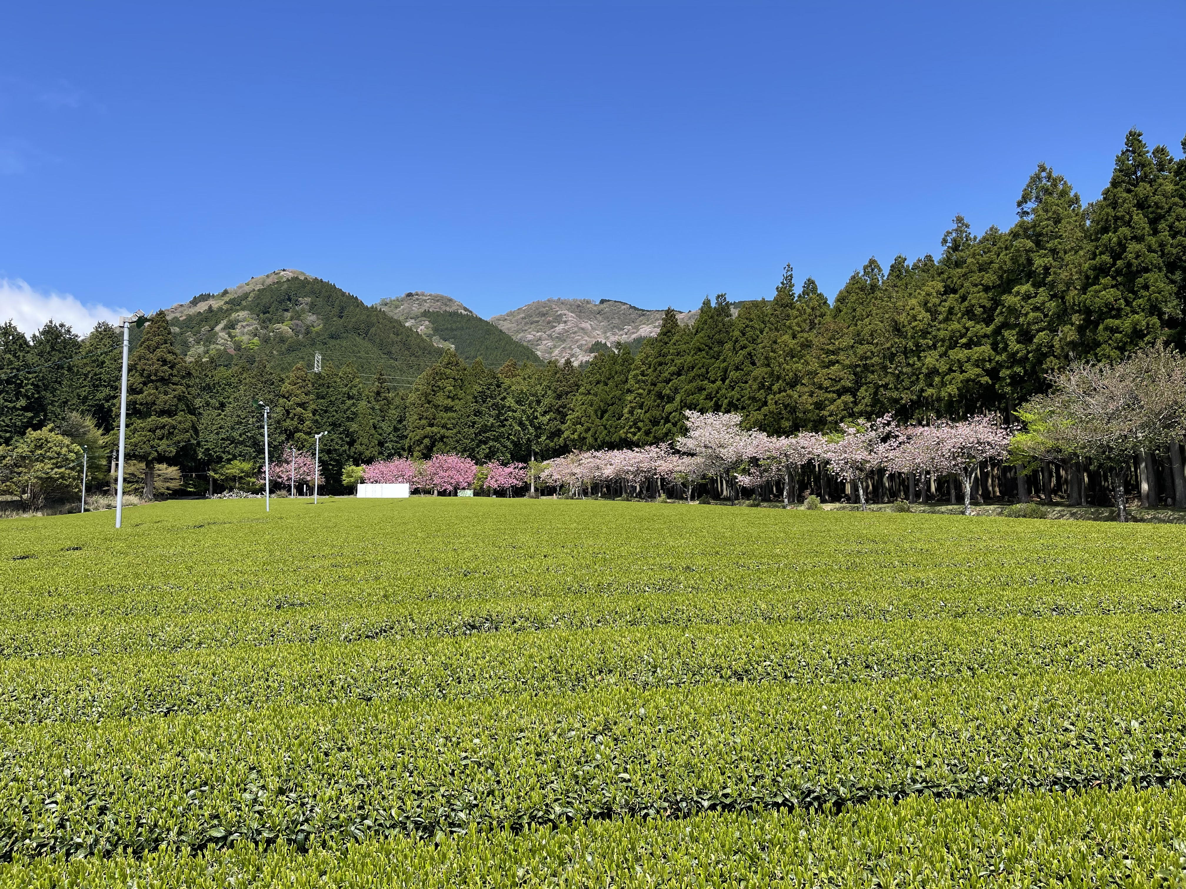 Mie Prefecture